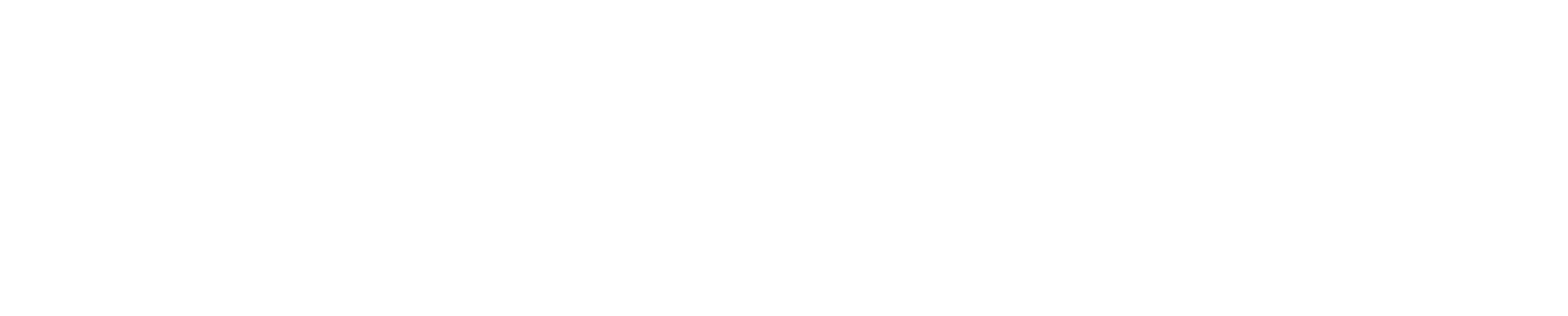 logo icon